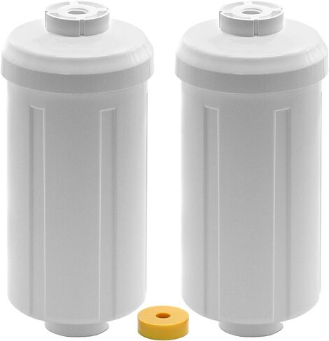 Black and Fluoride Filters Bundle Replacement for Big Berkey Water Filter System, Compatible with Berkey Filter Replacement Black & Fluoride Water Treatment Filter 2 Pack in Saudi Arabia