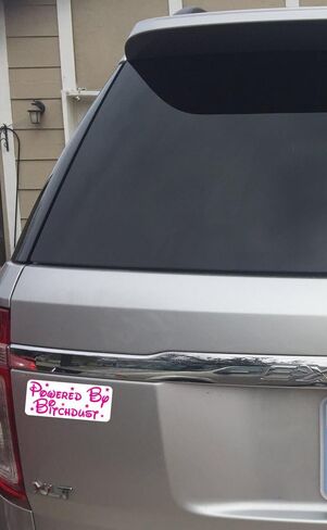 1070 مدعوم من Bitchdust ملصق مضحك in Kuwait