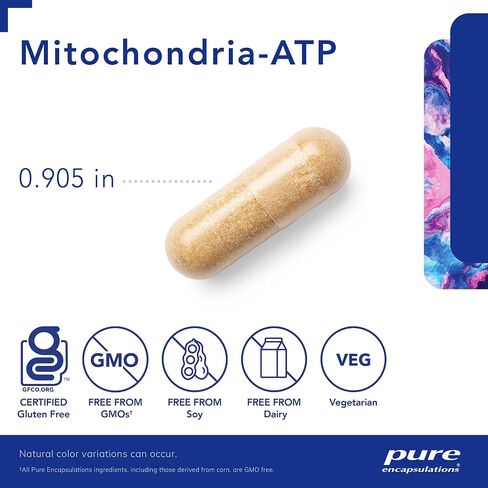 مغلفات نقية Mitochondria-ATP - دعم الميتوكوندريا - مساعد إنتاج ATP * - مع فيتامين C وفيتامين E والثيامين - دعم مضاد للأكسدة - 120 كبسولة in Saudi Arabia