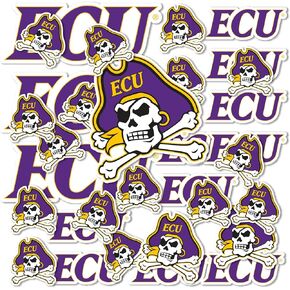 Desert Cactus East Carolina University Stickers Pirates ECU Vinyl Decals Laptop Water Bottle Car Scrapbook 11.5x9 Sheet T1 (Type 1-1)