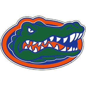Florida Gators Magnet (GATOR HEAD MAGNET (3",5",8",12",18"), 12 in)
