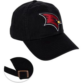 Desert Cactus Saginaw Valley State University Baseball Hat SVSU Cardinals Brimmed Embroirderd Hats Cap Adjustable Cloth Strap Adult (Style D)