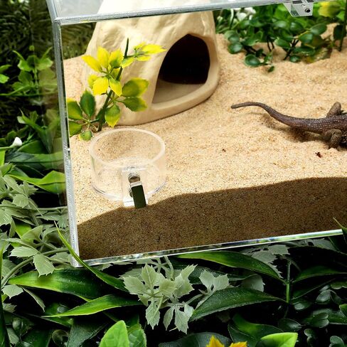 Jumping Spider Enclosure Front Opening Insect Snail Tree Frog Terrarium 7.8x5.3x10 Reptile Enclosure Reptile Enclosure Micro Habitat in Kuwait