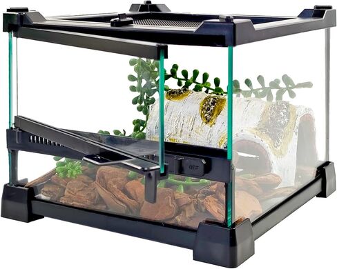 Reptile Glass Terrarium Tank 8"x8"x12", Front & Top Opening Door Full View Visually Appealing Mini Reptile or Amphibians Habitat, Stackable Vertical Enclousure for Small Reptiles in Saudi Arabia