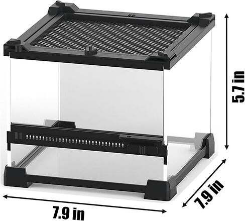 Reptile Glass Terrarium Tank 8"x8"x12", Front & Top Opening Door Full View Visually Appealing Mini Reptile or Amphibians Habitat, Stackable Vertical Enclousure for Small Reptiles in Saudi Arabia