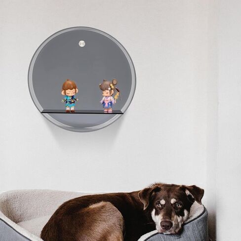 حافظة عرض تماثيل مستديرة من الأكريليك مثبتة على الحائط، منظم أرفف خزانة عرض من الزجاج الرمادي الشفاف للمقتنيات، صندوق عرض تخزين لأشكال البوب ​​الصغيرة المزخرفة، والأحجار الكريمة، والنباتات in Kuwait