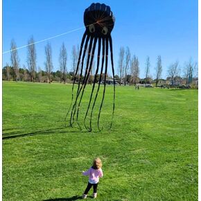Giant 3D 24ft Ultra Large Sea Monster Captain Octopus Kite with Handle & String, Huge Kite for Adults Kids, Boys Girls, Beach Trip Family Games Activities, Park Outdoor Fun in Kuwait