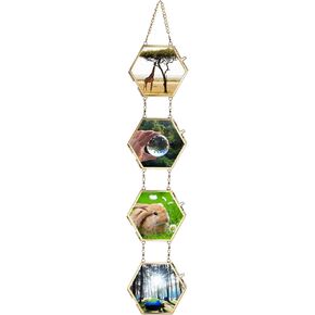 JUXYES Set of 4 Mini Brass Wall Hanging Photo Frame Set, Hexagonal Collage Picture Frames Set, Vertical Collage Frame Double Glass Floating Frame Style Gallery Wall Frame for Picture, Pressed Flower, Poster