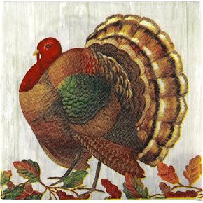 Iconikal Disposable Paper Thanksgiving Party Napkins, Harvest Turkey, Dinner Size, 75-Count in Kuwait