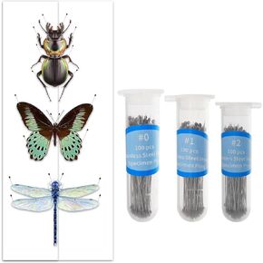 GLOBLELAND 300 PCS Insect Specimen Pins in 3 Sizes Stainless Steel Insect Pins with Safe Hard-Plastic Storage Vial Pins Butterflies Beetles Specimen Needles for Science Insect Collection Bug Hobby