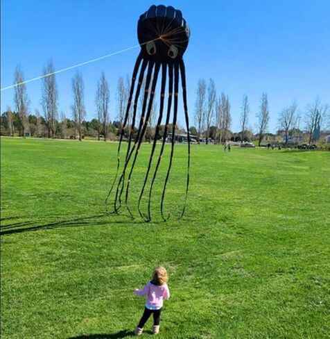 طائرة ورقية عملاقة ثلاثية الأبعاد بحجم 24 قدمًا كبيرة جدًا لوحش البحر كابتن الأخطبوط مع مقبض وخيط، طائرة ورقية ضخمة للبالغين والأطفال والأولاد والبنات وأنشطة الألعاب العائلية لرحلات الشاطئ والمتنزه في الهواء الطلق in Kuwait