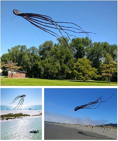 طائرة ورقية عملاقة ثلاثية الأبعاد بحجم 24 قدمًا كبيرة جدًا لوحش البحر كابتن الأخطبوط مع مقبض وخيط، طائرة ورقية ضخمة للبالغين والأطفال والأولاد والبنات وأنشطة الألعاب العائلية لرحلات الشاطئ والمتنزه في الهواء الطلق in Kuwait