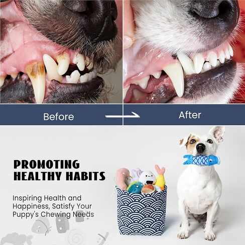 Nocciola 10 PCS Seafood Pot Small Dog Toys for Boredom, Squeaky Dog Toys to Keep Them Busy, Durable Puppy Dog Toys for Small Medium Dogs in Kuwait