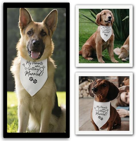 She Said Yes Dog Bandana Engagement Gifts for Couples Announcement Wedding Photo Prop Pet Scarf Accessories for Pet Dog Lovers Gifts in Saudi Arabia