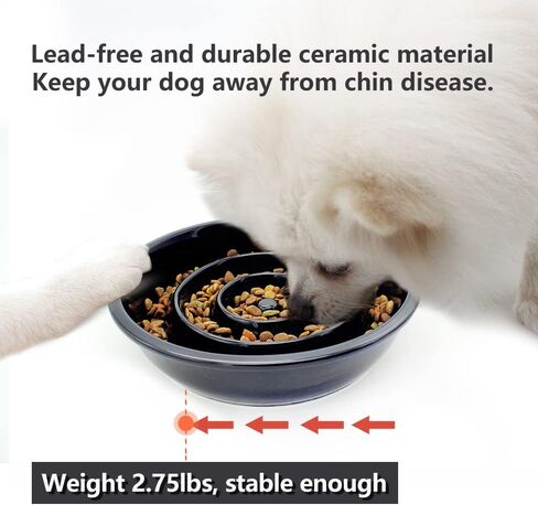GH Ceramic Slow Feeder Dog Bowl, 3 Cups, 2 Pet Flying Discs Included - Black in Saudi Arabia