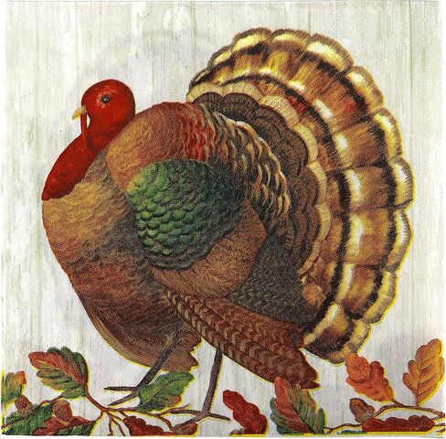 Iconikal Disposable Paper Thanksgiving Party Napkins, Harvest Turkey, Dinner Size, 75-Count in Kuwait