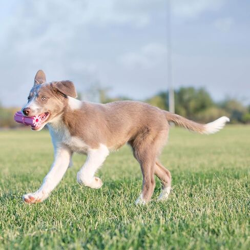 KONG Puppy Teething Stick - Soft Teething Stick for Growing Puppies - Teeth Cleaning Dog Toy - Chew Toy for Puppies with Ridges - Natural Rubber Toy Perfect for Snacks & Treats - for Small Puppies in Saudi Arabia