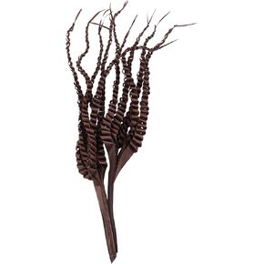 Deco 79 Dried Plant Palm Leaf Handmade Natural Foliage Tall Five Finger, 8" x 3" x 30", Dark Brown