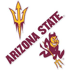 Desert Cactus Arizona State University ASU Sun Devils Stickers Vinyl Decals Laptop Water Bottle Car Scrapbook T5 (Type 5-1)