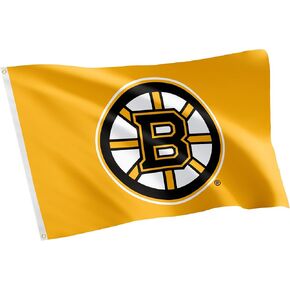 Desert Cactus Boston Bruins Flag NHL 100% Polyester Indoor Outdoor 3x5 feet National Hockey League Team Flags (Design #2)
