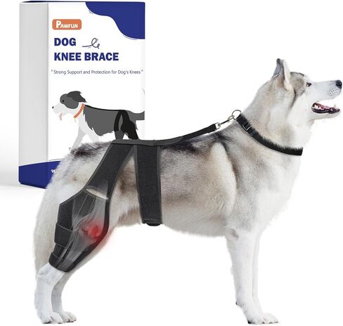 Dog Knee Brace for Torn ACL Hind Leg, Dog Leg Brace for Large and Small Dogs with Hip Dysplasia, CCL, Ligament Injuries or Osteoarthritis, Both Back and Front Legs，X-Large in Saudi Arabia
