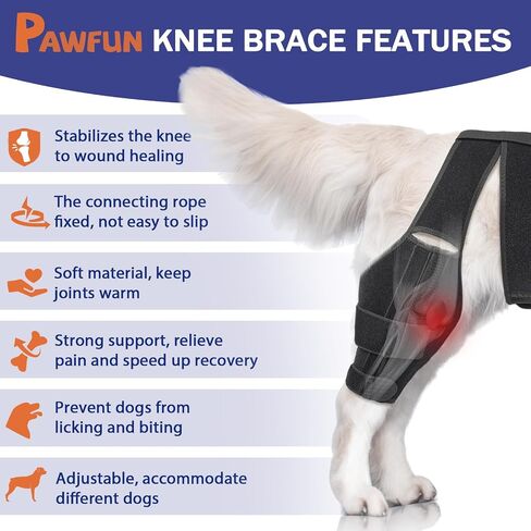 Dog Knee Brace for Torn ACL Hind Leg, Dog Leg Brace for Large and Small Dogs with Hip Dysplasia, CCL, Ligament Injuries or Osteoarthritis, Both Back and Front Legs，X-Large in Saudi Arabia