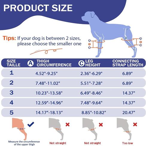 Dog Knee Brace for Torn ACL Hind Leg, Dog Leg Brace for Large and Small Dogs with Hip Dysplasia, CCL, Ligament Injuries or Osteoarthritis, Both Back and Front Legs，X-Large in Saudi Arabia