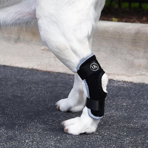 Dog leg Braces for back leg Injuries - Customizable - Lightweight, Secure Dog leg Brace for Sprains, Torn Ligaments, and Post-Op - Promotes Faster Recovery and Reduce Pain (Small, Right) in Saudi Arabia