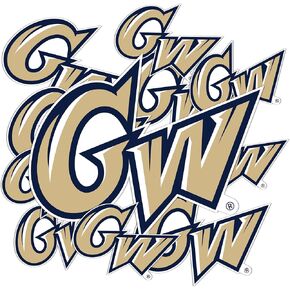 Desert Cactus The George Washington University GW Stickers Vinyl Decals Laptop Water Bottle Car Scrapbook T3 (Type 3-1)