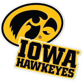 Desert Cactus University of Iowa Stickers Hawkeyes Vinyl Decal Laptop Water Bottle Car Scrapbook 11.42x8.94 Sheet (4 Inch Set V1)