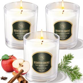 VTS 3 Individually Gift-Packaged Scented Candles Made from Natural Beeswax, Apple Cinnamon Candles Set, 22oz 180 Hour Long Lasting Candles, Gifts Set for Women, Birthday, Christmas, Anniversary