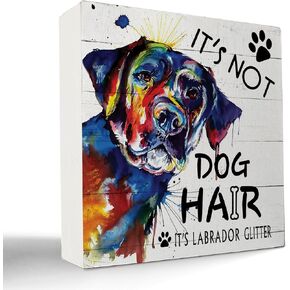 kunlisa Corgi Sign,Corgi Decor,Corgi Gifts for Corgi Lovers,Corgi Gifts,Corgi Signs for Home Decor,It's not Dog Hair It's Corgi Glitter Wood Box Sign,5x5 Inch