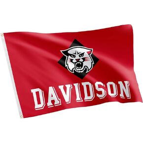 Desert Cactus Davidson College Flag Wildcats Banners 100% Polyester Indoor Outdoor 3x5 feet Flags (Style 1)