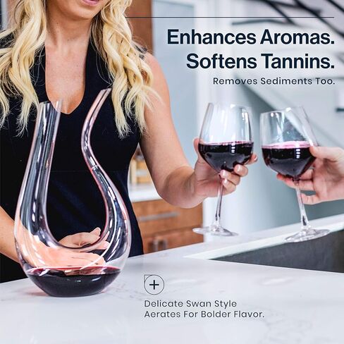 HiCoup Red Wine Decanter with Aerator - 750mL Crystal Glass Wine Carafe and Purifier for Home Bar﻿ in Saudi Arabia