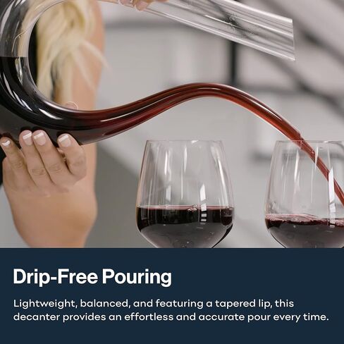 HiCoup Red Wine Decanter with Aerator - 750mL Crystal Glass Wine Carafe and Purifier for Home Bar﻿ in Saudi Arabia