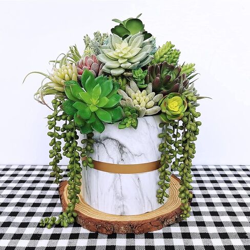 Supla 15 قطعة من النباتات العصارية الاصطناعية المتنوعة غير الماصة من القفزات الخضراء الصغيرة الألوة إيشفيريا نبات الهواء اختيار العصارة وهمية السائبة للحديقة النضرة ترتيب الزهور إكليل ديكور المنزل في الأماكن المغلقة في الهواء الطلق in Kuwait