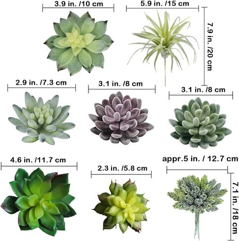Supla 15 قطعة من النباتات العصارية الاصطناعية المتنوعة غير الماصة من القفزات الخضراء الصغيرة الألوة إيشفيريا نبات الهواء اختيار العصارة وهمية السائبة للحديقة النضرة ترتيب الزهور إكليل ديكور المنزل في الأماكن المغلقة في الهواء الطلق in Kuwait