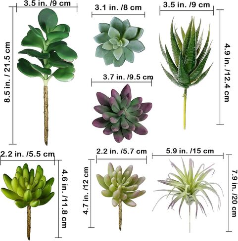 Supla 15 قطعة من النباتات العصارية الاصطناعية المتنوعة غير الماصة من القفزات الخضراء الصغيرة الألوة إيشفيريا نبات الهواء اختيار العصارة وهمية السائبة للحديقة النضرة ترتيب الزهور إكليل ديكور المنزل في الأماكن المغلقة في الهواء الطلق in Kuwait