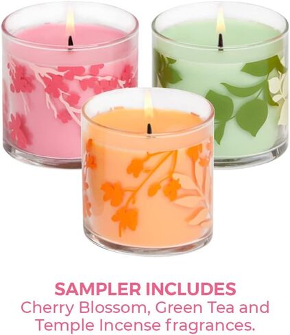 PartyLite 15-Piece Tealight Sampler, Fragranced Tea Light Candles Gift Set, Made in The USA (Tis The Season) in Saudi Arabia