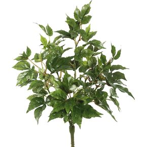 Vickerman Everyday 20" Indoor Artificial Green Maple Ivy Bush - Faux Indoor Bush - Greenery for Home Or Office Decor - Maintenance Free