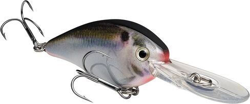 Strike King KVD 1.5 Flatside Crankbait in Saudi Arabia