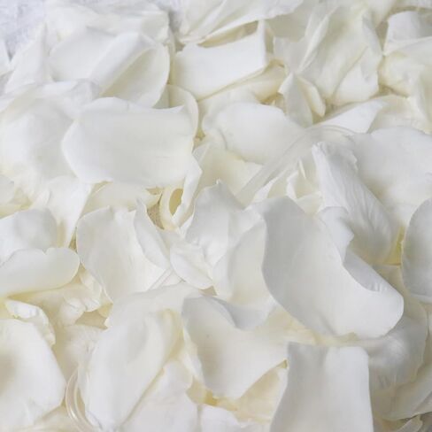 Dried Real White Rose Petals, 2.1oz Freeze Preserved Flower Petals for Valentine's Day Gifts Wedding Party Decor, Flower Girl, Dinner table Centerpieces, Bridal Shower, Flower Confetti in Saudi Arabia
