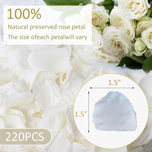 Dried Real White Rose Petals, 2.1oz Freeze Preserved Flower Petals for Valentine's Day Gifts Wedding Party Decor, Flower Girl, Dinner table Centerpieces, Bridal Shower, Flower Confetti in Saudi Arabia