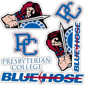 Desert Cactus Presbyterian College Blue Hose PC Stickers Vinyl Decals Laptop Water Bottle Car Scrapbook T2 (Type 2)