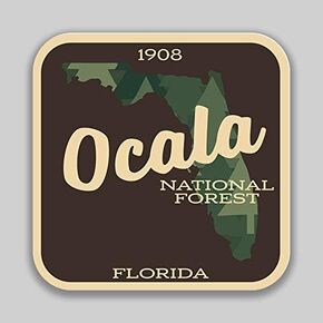 JMM Industries Ocala National Forest Florida Vinyl Decal Sticker Car Window Bumper 2-Pack 4-Inches 4-Inches Premium Quality UV-Protective Laminate PDS1436