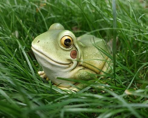 تخزين آمن من Hide-A-Key Fake Rock للأمان، يبدو وكأنه مفتاح احتياطي من الصخور الحقيقية، التنزه بأمان على مفتاحك الاحتياطي في الهواء الطلق، أو خزائن تحويل الفناء أو الحديقة، تمثال خارجي. in Kuwait