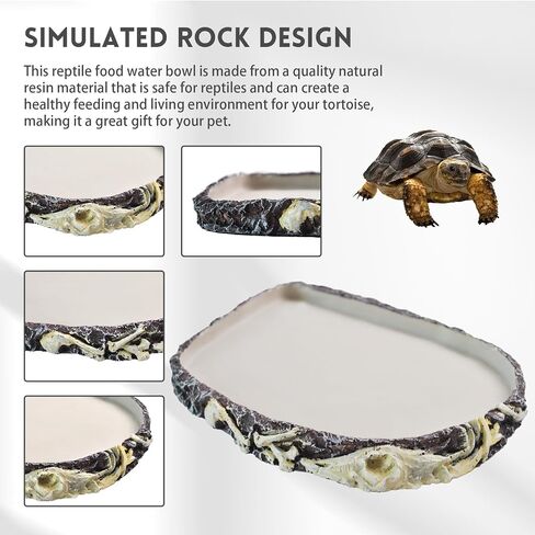 MUYG Reptile Food Water Bowl Resin Rock Reptile Feeding Dish Tortoise Feeder Food and Water Plate Amphibian Drinking Basin Reptile Habitat Tank Accessories for Turtle Lizard Leopard Gecko Chameleon in Kuwait