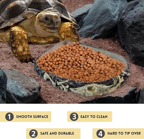 MUYG Reptile Food Water Bowl Resin Rock Reptile Feeding Dish Tortoise Feeder Food and Water Plate Amphibian Drinking Basin Reptile Habitat Tank Accessories for Turtle Lizard Leopard Gecko Chameleon in Kuwait