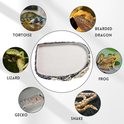 MUYG Reptile Food Water Bowl Resin Rock Reptile Feeding Dish Tortoise Feeder Food and Water Plate Amphibian Drinking Basin Reptile Habitat Tank Accessories for Turtle Lizard Leopard Gecko Chameleon in Kuwait