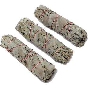 CircuitOffice Set of 3 White Sage Smudge Wands / Sticks